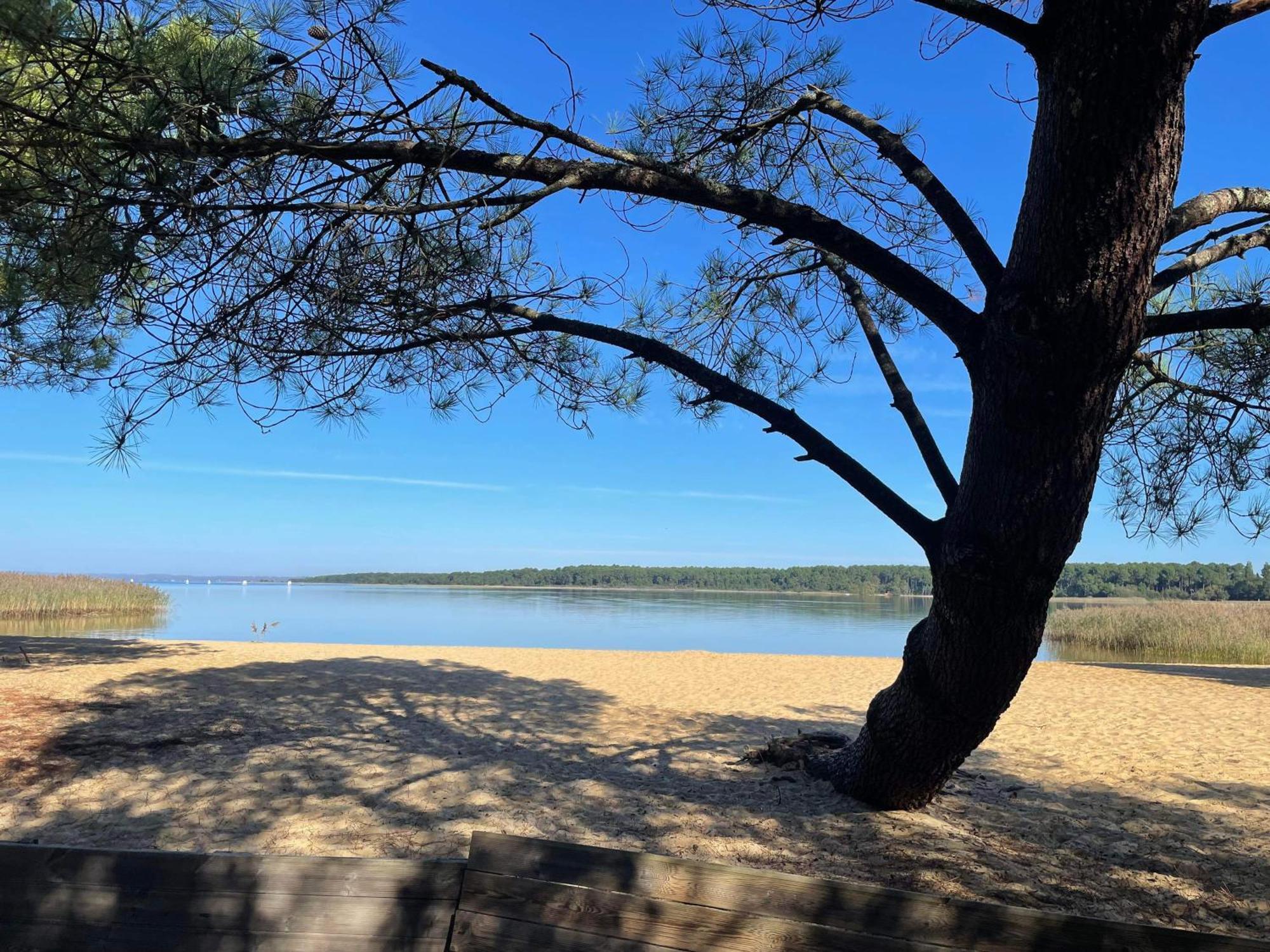 Appartement T2 Proche Lac Sanguinet Exteriör bild