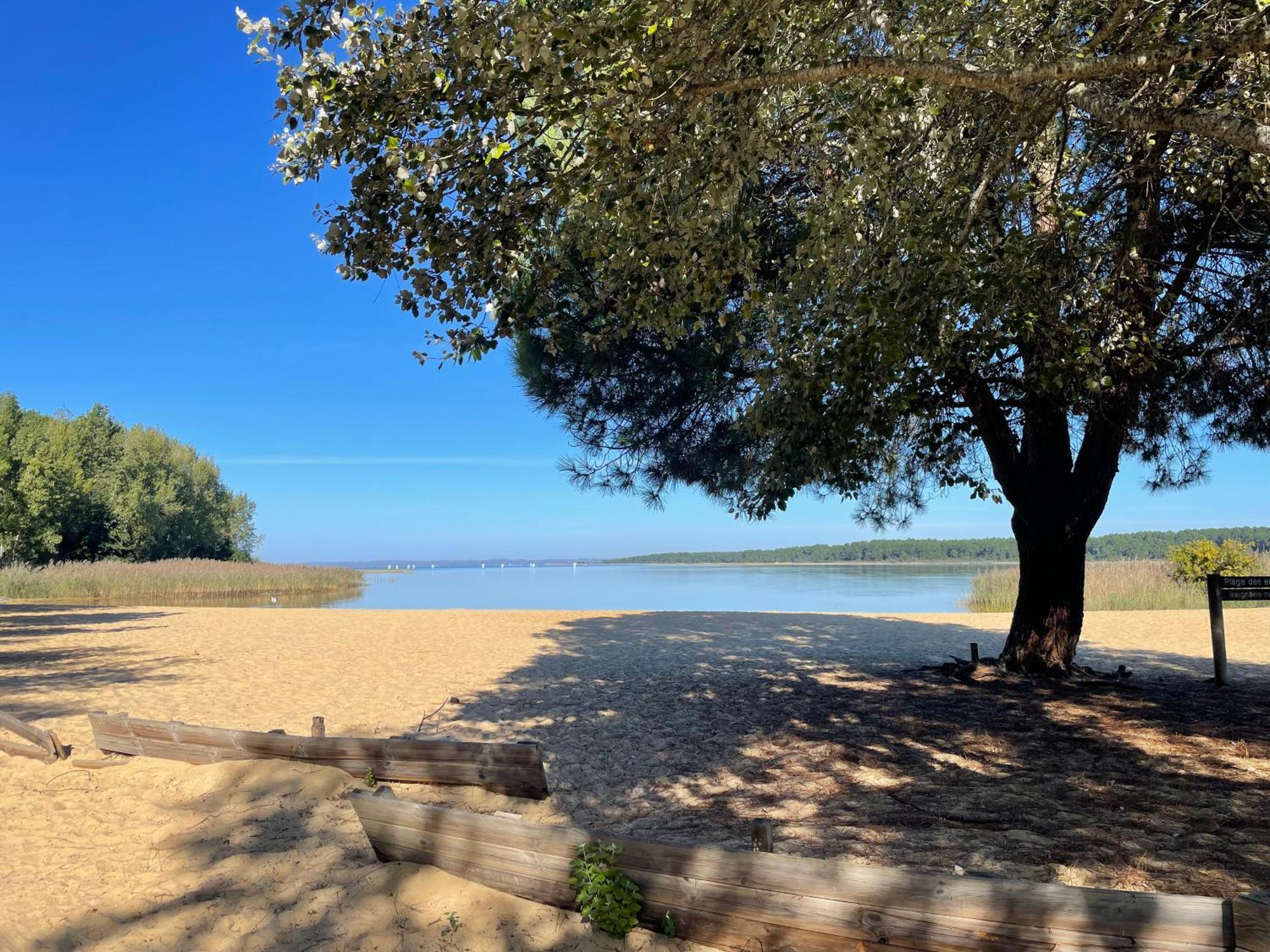 Appartement T2 Proche Lac Sanguinet Exteriör bild